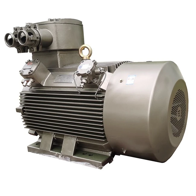 Flameproof Mining Motor-6pole1