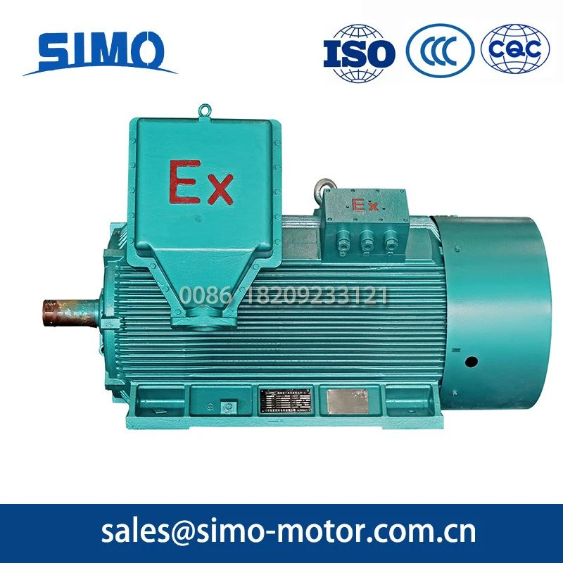 High-Voltage Flameproof Motor