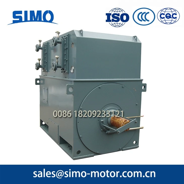 Power Plant High-Voltage Motor