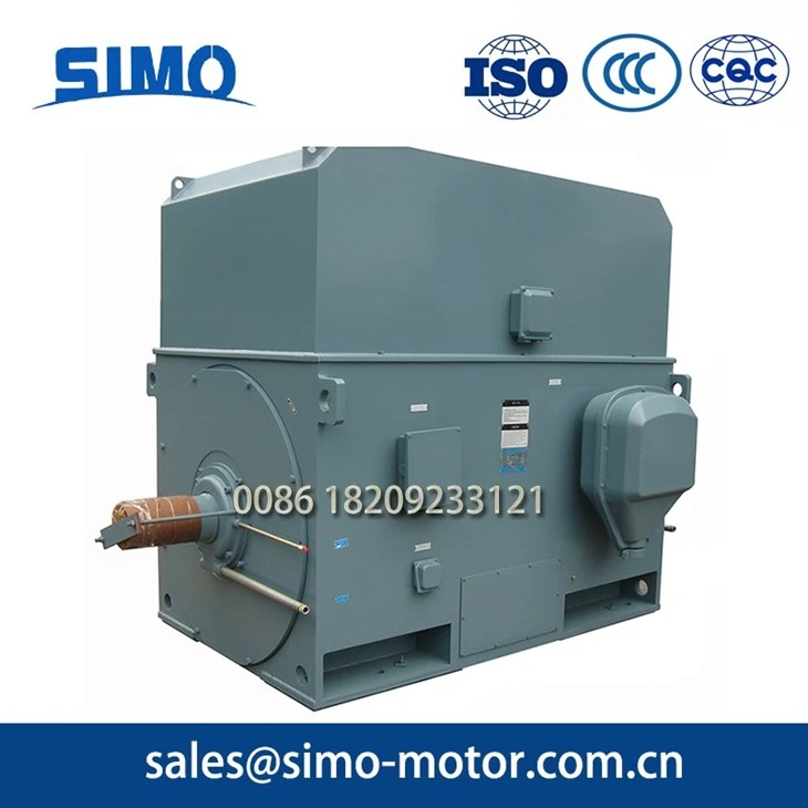 Power Plant High-Voltage Motor6