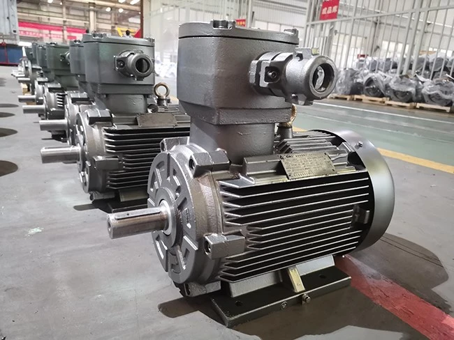ex-rated-motor-8-10-pole6 ex-rated-motor-8-10-pole6