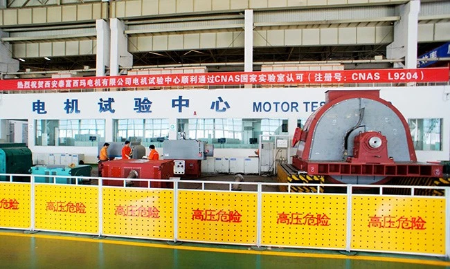 Fully Enclosed Direct-cooled DC Motor3 Fully Enclosed Direct-cooled DC Motor3