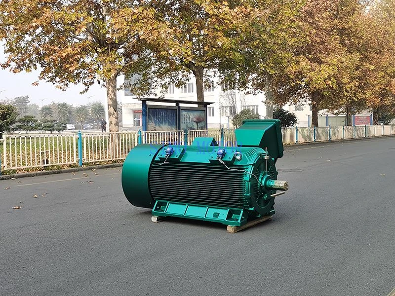 High-Voltage Flameproof Motor