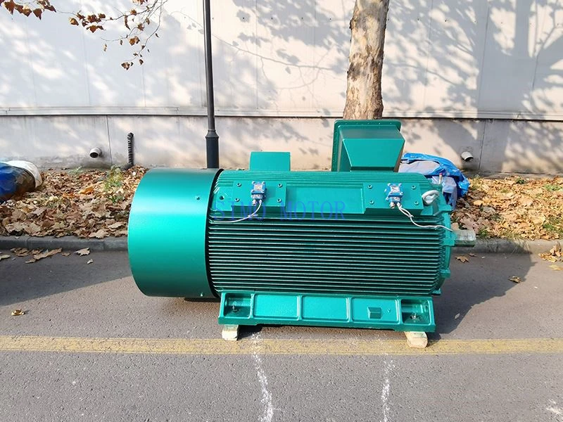 High-Voltage Flameproof Motor High-Voltage Flameproof Motor