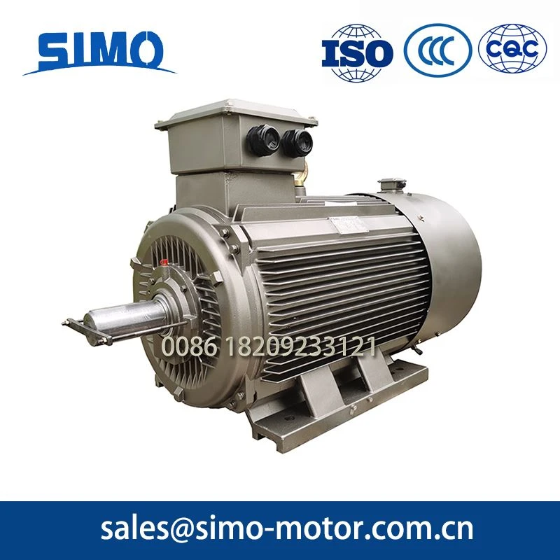 Ultra High Efficiency Motor-3000rpm