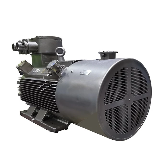 YBBP Explosion Proof Electric Motor
